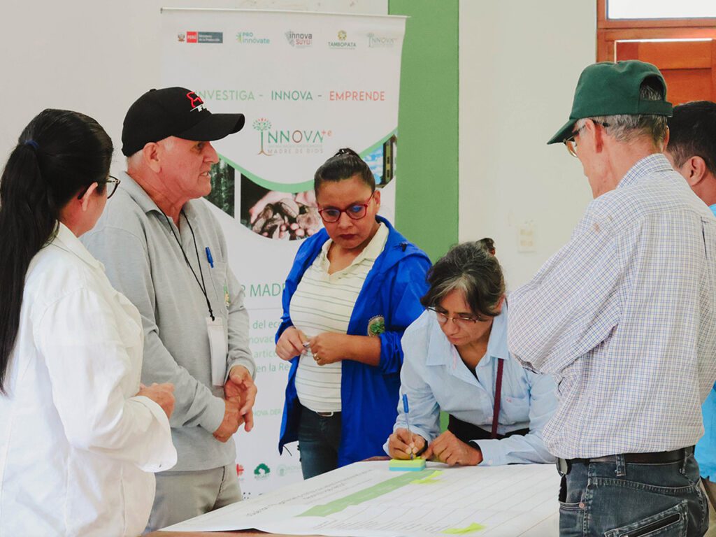 Consultoría estratégica para fortalecer el ecosistema de innovación y emprendimiento en Madre de Dios